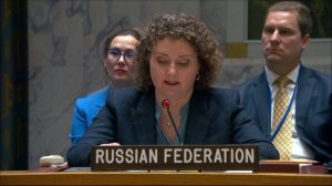 Выступление А.М.Евстигнеевой по мотивам голосования по проекту резолюции СБ ООН