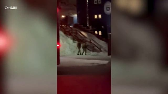 Самолет Королевских ВВС Дании с военнослужащими на борту прибыл в Гренландию смотреть онлайн