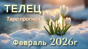 ТЕЛЕЦ ‼️ ТАРО ПРОГНОЗ НА ФЕВРАЛЬ 2026