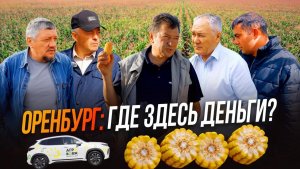 Риск или прибыль: как выращивают кукурузу в Оренбурге? | Агро тревел-шоу | АгроВояж