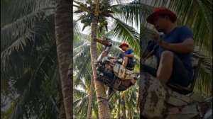 Стимпанк фермер