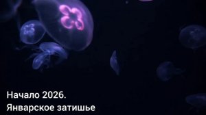 Концентрация внутри. Перезапуск системы ⚡️🔌