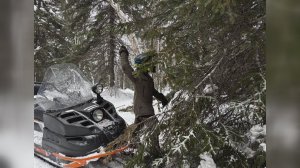 КАМЧАТСКАЯ «ЗИМНЯЯ СКАЗКА»