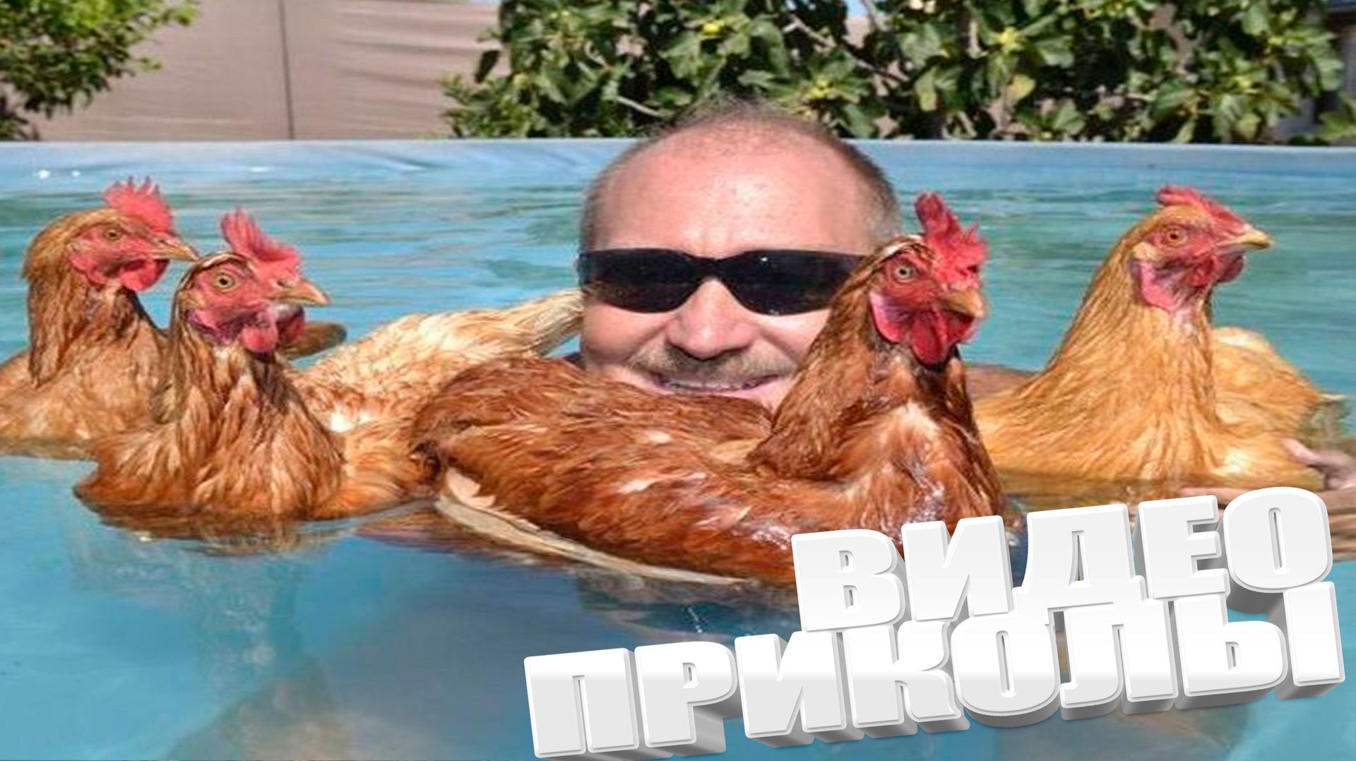 ВИДЕОПРИКОЛЫ \ КРУТЫЕ ПРИКОЛЫ 2025 \ НОВЫЕ ПРИКОЛЫ \ СМЕШНЫЕ ПРИКОЛЫ 2025 ЮМОР смотреть онлайн