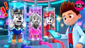 Щенячий патруль и Маршалл. Залипательное видео. Мультфильм для детей и малышей. Анимация 75