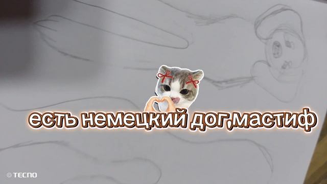 есть оба в наличии смотреть онлайн