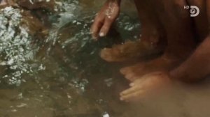 Голые и напуганные 14 сезон 1 серия (реалити-шоу, 2021)