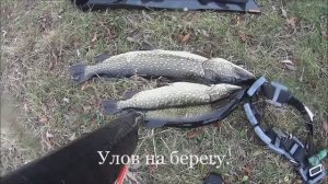 Подводная охота.Большая жадная щука подавилась сестричкой.