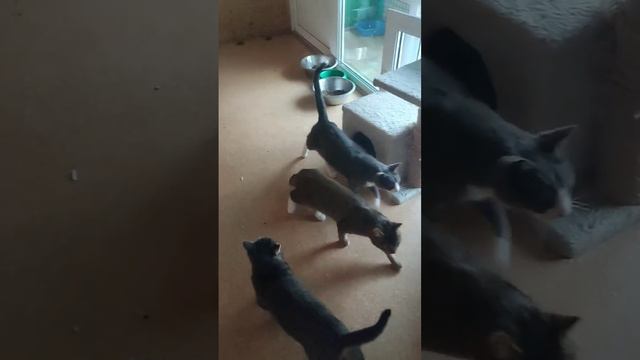 Подвожу итоги уходящего года С Новым Годом всем любвидобра❤️ Донат +7(985)152-84-08 Т-банк смотреть онлайн