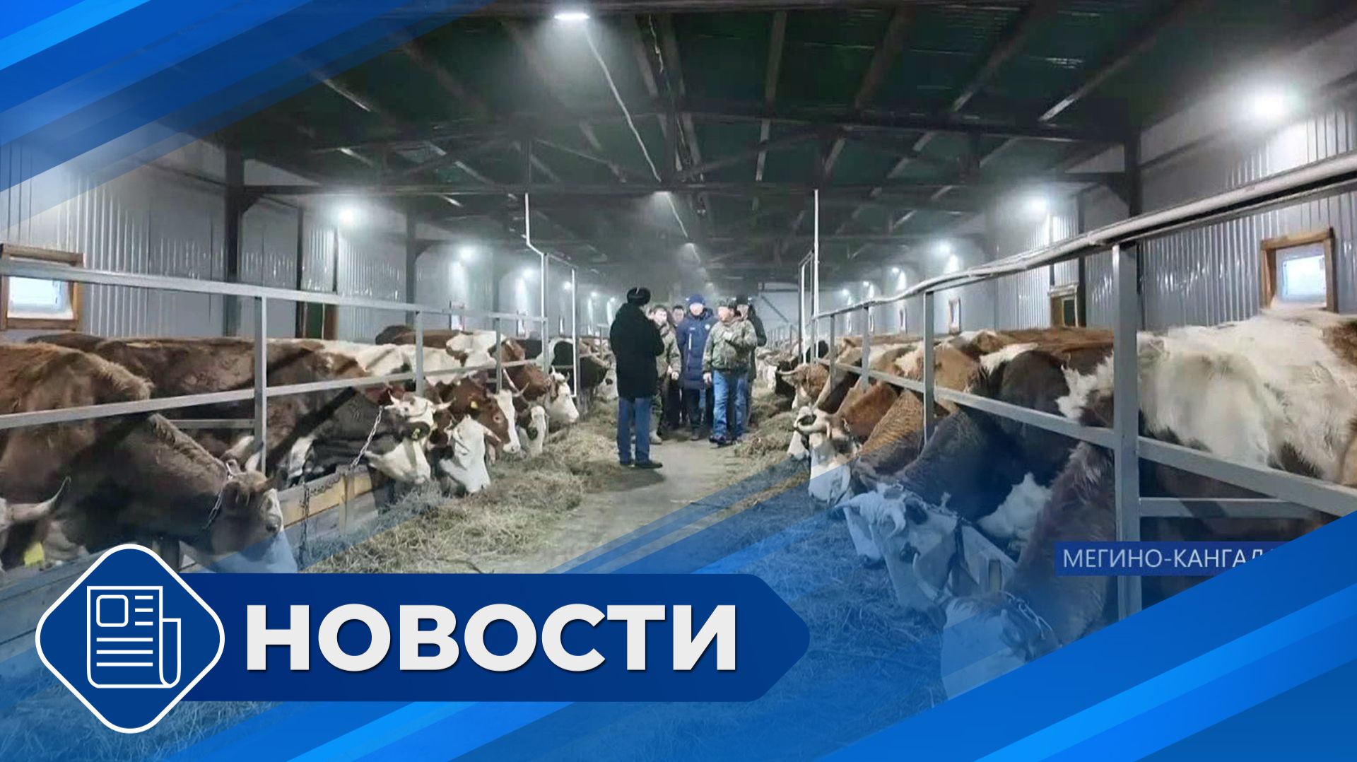 Новости 19.00 от 15.01.26 смотреть онлайн