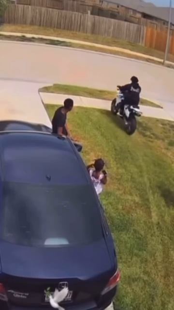 Luckily it was all captured on surveillance cameras смотреть онлайн