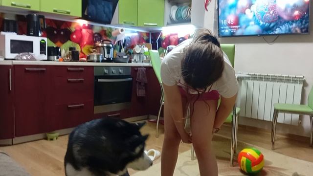 Annat учем команду змейка смотреть онлайн