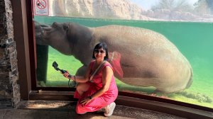 Дубайский сафари-парк #дубай #сафарипарк