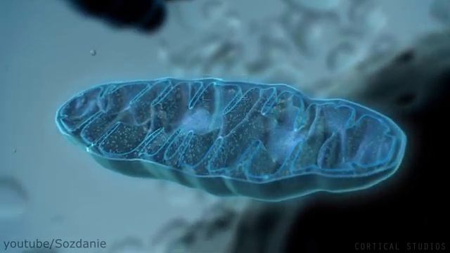  смотреть онлайн