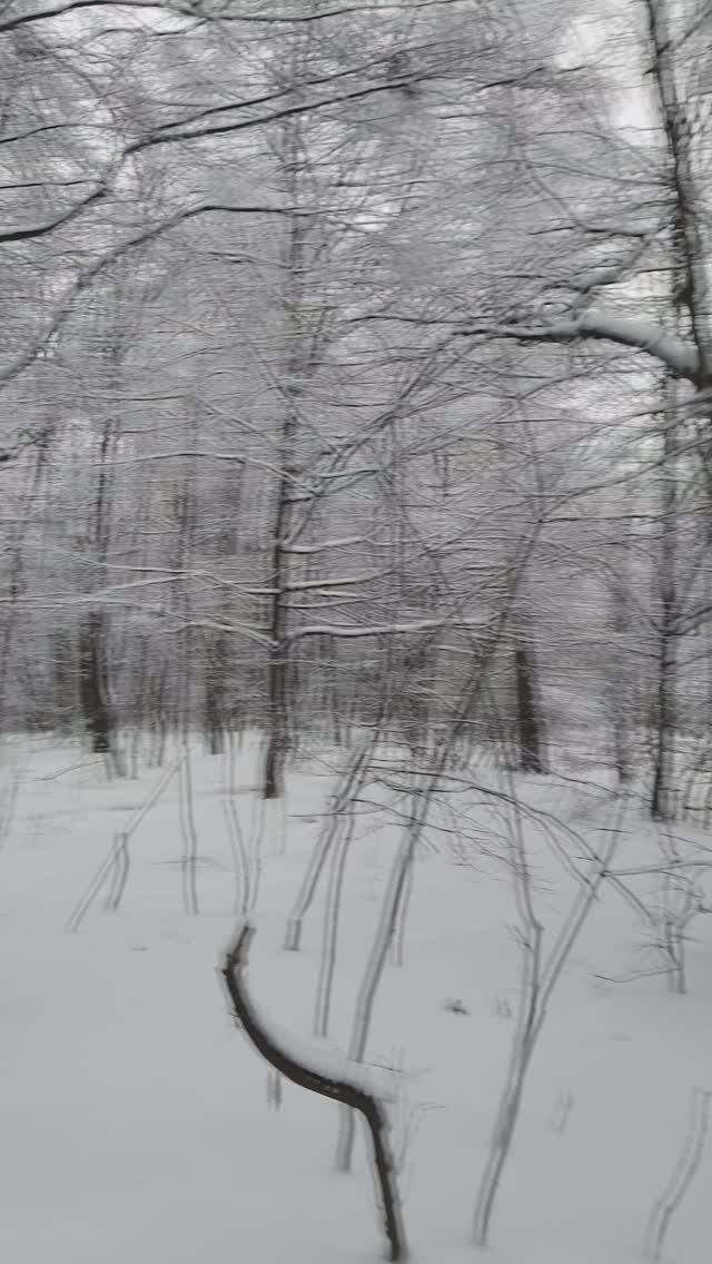 Киев 15.01.2026 г. Погода радует! смотреть онлайн