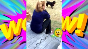 СМЕХ ДО СЛЕЗ: СМЕШНЫЕ ВИДЕО И ПРИКОЛЫ