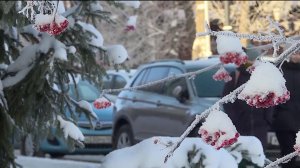 Морозы в Башкортостане сохранятся до Крещения