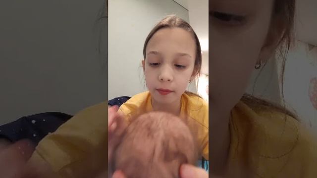 Выбираем имя новому  Реборна смотреть онлайн