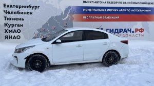 Обзор перед разбором Kia Rio 4
