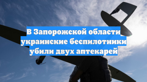 Двое сотрудников аптеки погибли при атаке дрона ВСУ в Запорожской области