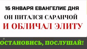 16 января «Порождения ехидны». Почему Иоанн Креститель встретил паломников оскорблением?