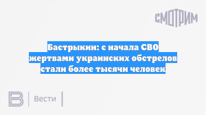 Бастрыкин: с начала СВО жертвами украинских обстрелов стали более тысячи человек