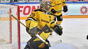 Северсталь - Динамо Минск. Матч от 15.01.2026