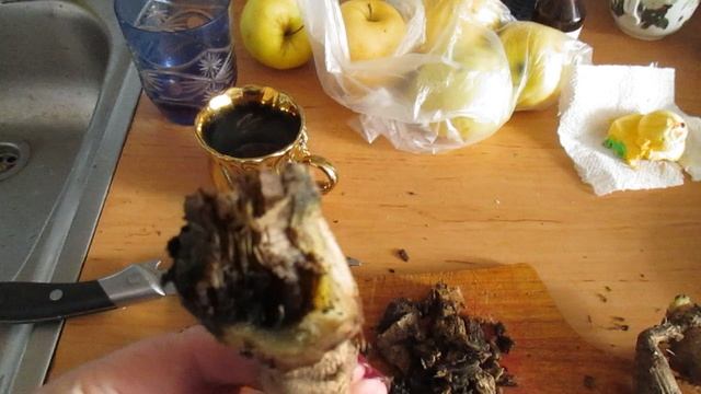 зачистка георгин от гнили смотреть онлайн