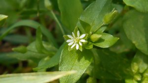 Гитара Акустическая 🎸❤️