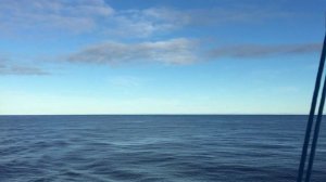 Олег Кваша - Пой бродяга