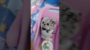 утро с Аней и сёмой