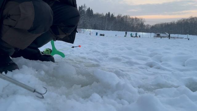 Поимка форели смотреть онлайн