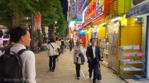 Akihabara Electric Town at Night in Tokyo Japan