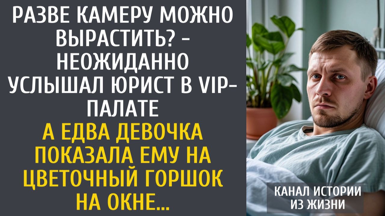 Разве камеру можно вырастить? - неожиданно услышал юрист в vip-палате… А едва девочка указала на… смотреть онлайн