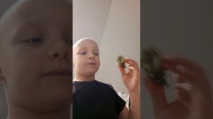 возвращение домой.