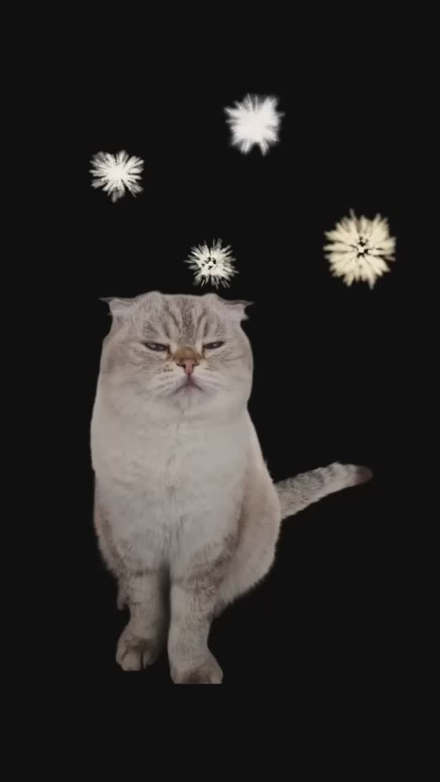 Новогодняя вечеринка Лёлика😴🎄 смотреть онлайн