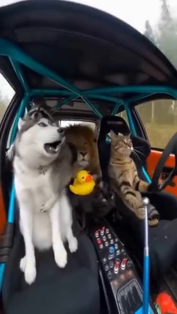 Опасный смотреть онлайн