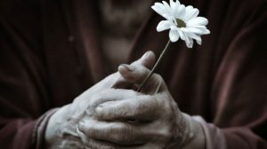 Песни Александра Суханова  - "Я не виню стариков"