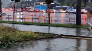 Дождливый блюз .""