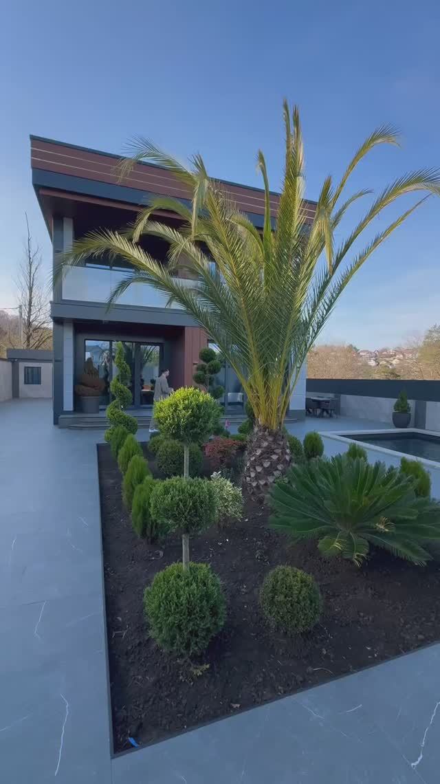 дом с пальмой в Сочи. Дом с бассейном в Сочи смотреть онлайн