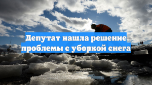 В Госдуме заявили, что жалобы на снег грозят ухудшением уборки во дворах