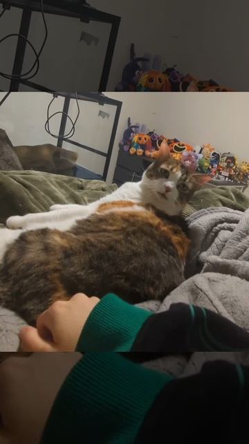 Как же ты мне надоел смотреть онлайн