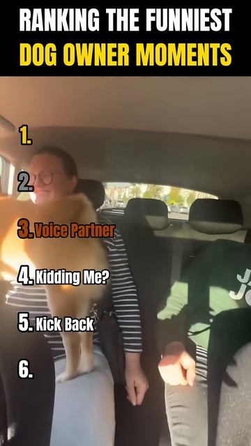 RANKING THE FUNNIEST DOG OWNER MOMENTS 🐶🥰 _ Which duo is your favorite смотреть онлайн