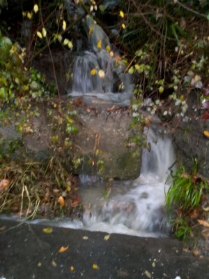 новая кв в Сочи