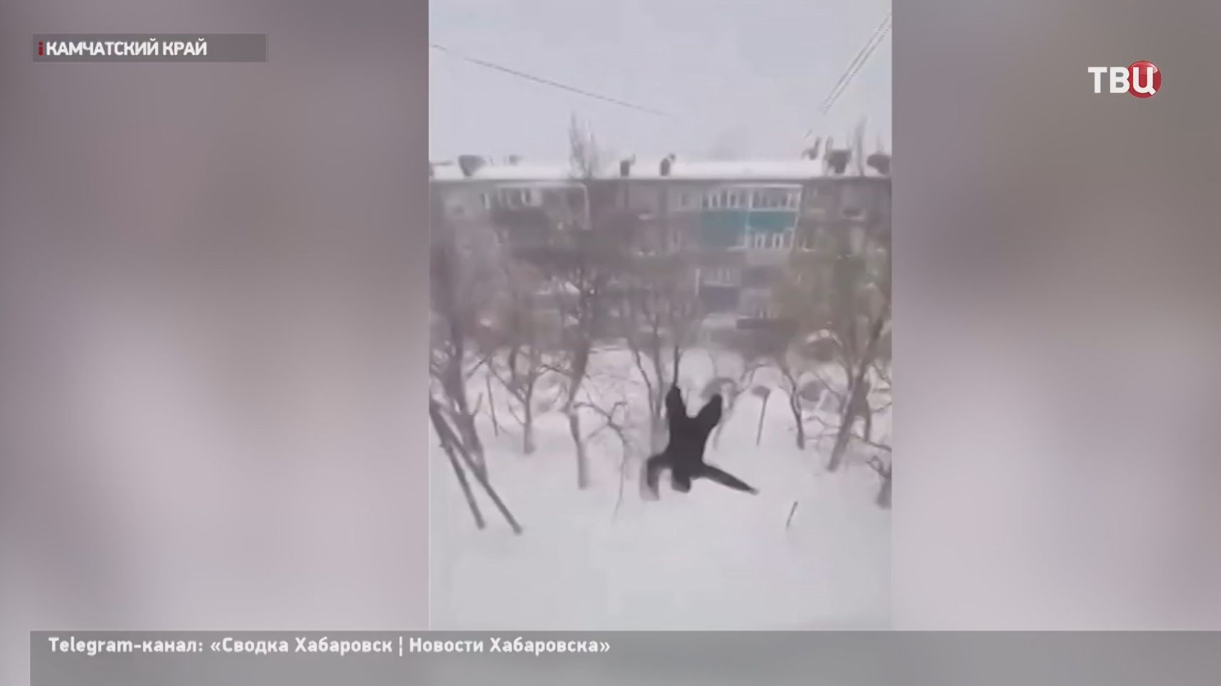 На Камчатке вместо автобусов на линии выходят автомобили повышенной проходимости смотреть онлайн