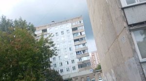 Супер красота лето цветы