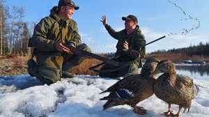 BULT Самый лучший симулятор охоты от Российских разработчиков. BULTахын - по Якутски охота.