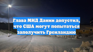 Глава МИД Дании допустил, что США могут попытаться заполучить Гренландию