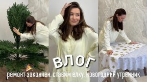 РЕМОНТ ЗАКОНЧЕН, СТАВИМ ЕЛКУ, ЗИМНИЙ УТРЕННИК, ЧТО ПЛАНИРУЕМ НА НОВЫЙ ГОД
