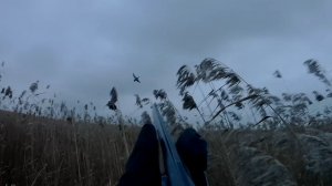 НАШЁЛ СОТНИ УТОК. ОХОТА НА УТКУ В ЯНВАРЕ. Поздравляю со старым Новым Годом!